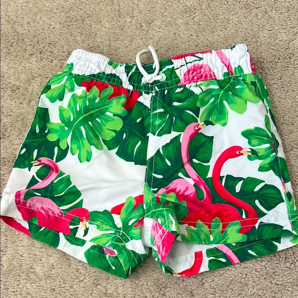 Tropical Flamingo Print Shorts